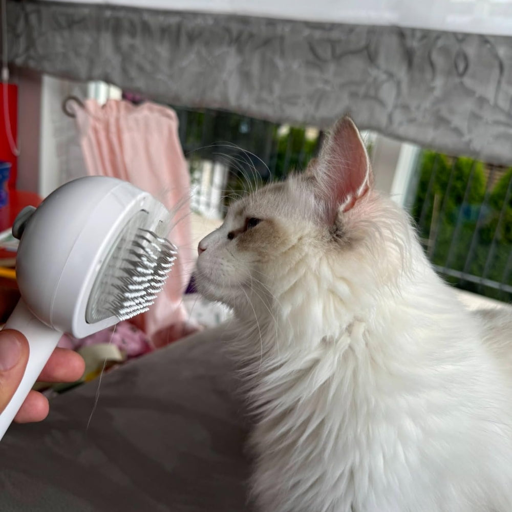 Spazzola a vapore per animali