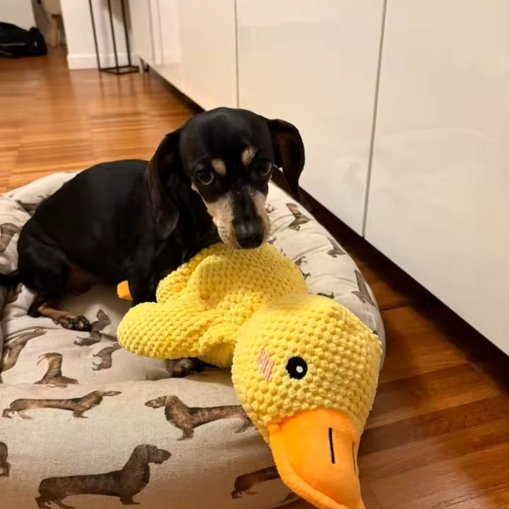 Anatra™ - Gioco Indistruttibile per Cani