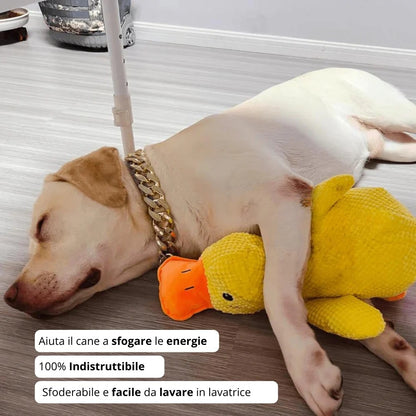 Anatra™ - Gioco Indistruttibile per Cani